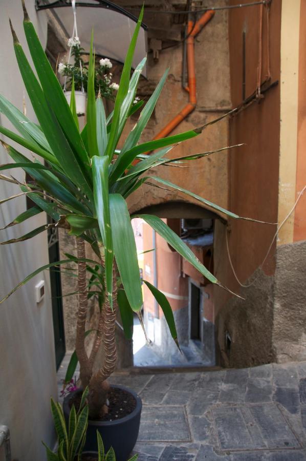 La Croce Dei Templari - Very Central With Parking - Otel Riomaggiore Dış mekan fotoğraf